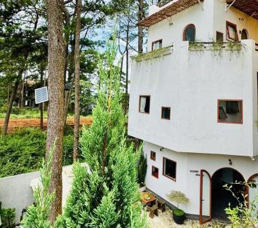 Kon Plong Apartment | December Homestay & Coffee Măng Đen - only Vietnamese Guest