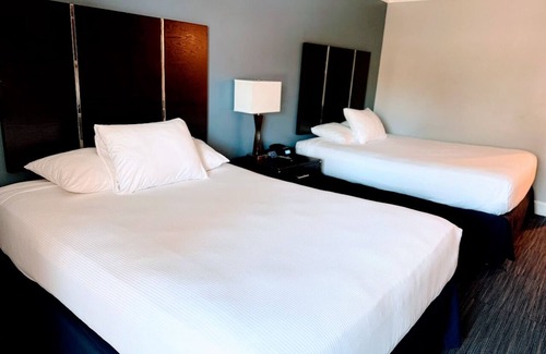 Old Towne Hotel | Delight in Comfort Near Attractions: Room w/Continental Breakfast