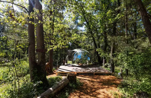 Wisconsin Dells Cabin | Dells Domes- Woodland Haven -Dome 3