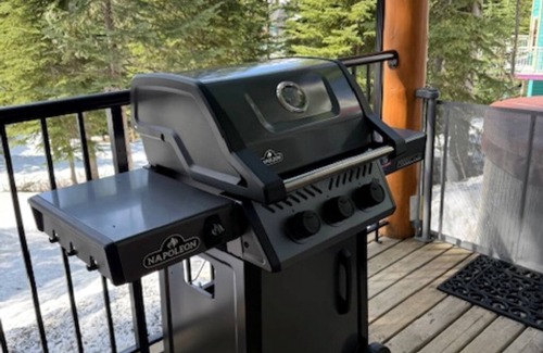 Silver Star Mountain Apartment | Deluxe Suite w/BBQ, Hot Tub, Laundry - Just minutes walking to village
