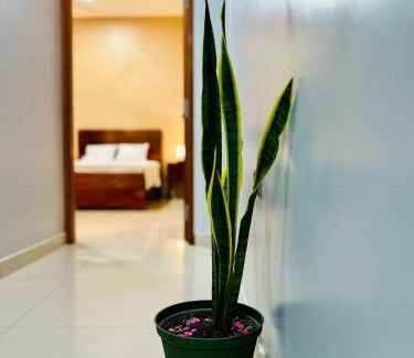 Iquitos Apartment | Departamento Céntrico en Iquitos - Casa Alemi