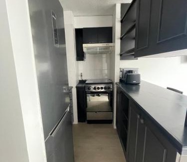 Downtown Santiago Apartment | Departamento Remodelado Santiago