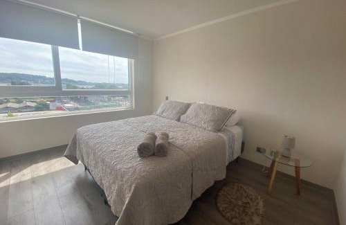 Concepcion Apartment | Depto Parque Víctor lamas