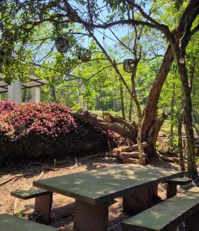 Guaira Department House | Descanso Del Mbocayaty