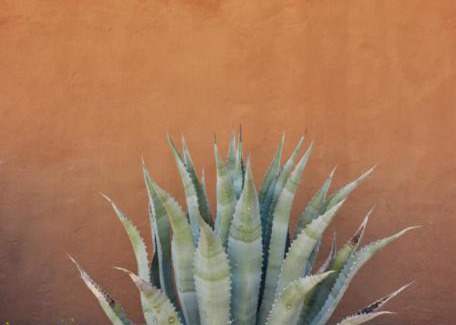 Study Butte-Terlingua House | Desert Pearl — Quick Drive from Big Bend