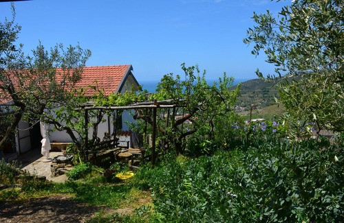 Castellabate Cottage | Detached cottage on the hill of Tresino di Castellabate, very panoramic