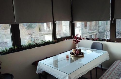 Central Tzoumerka Apartment | Dimitra's traditional house