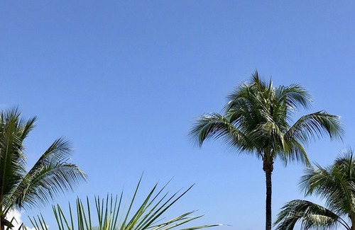 Arue Apartment | Directly on the beach, in a 4* hotel, comfortable apartment