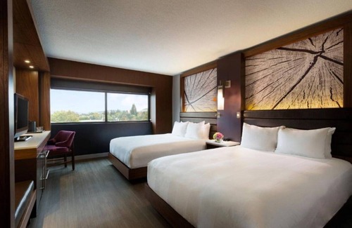 Walnut Creek House | Discover East Bay from our room in Walnut Creek, CA
