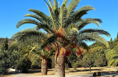 Olvera Cottage | Discover Olvera and the wonderful surroundings!