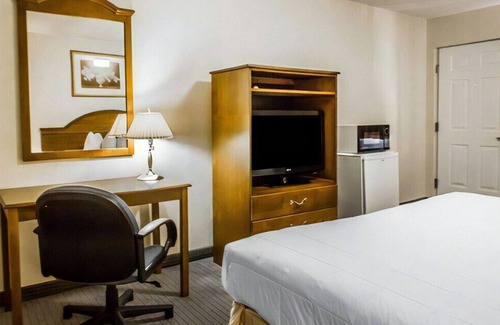 Torrington House | Discover Perfect Escape! Free Breakfast & WiFi