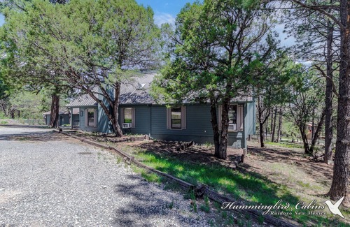 Ruidoso Downs Cabin | 'Distinct stay' guaranteed at Lone Pine! Pet friendly