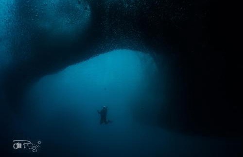 Basdiot Cabin | Divers Lodge Moalboal