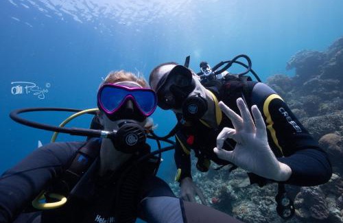 Basdiot Cabin | Divers Lodge Moalboal