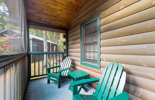 Northport Cabin | Dog-friendly cabin with wooded views, fireplace, AC near outdoor recreation