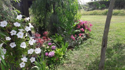 Livorno Apartment | Dolci Ricordi