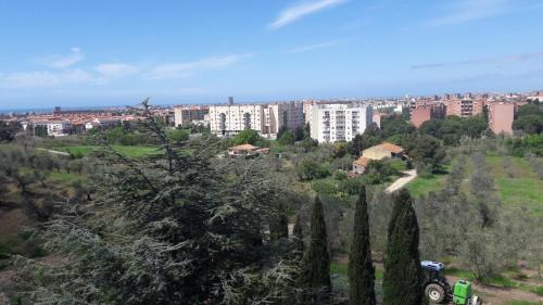 Livorno Apartment | Dolci Ricordi