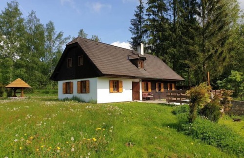 Pohorska Ves House | Dolní Příbraní by Interhome
