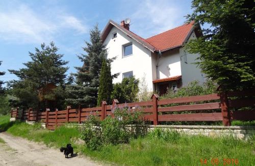 Szczytna House | Dom na wzgórzu