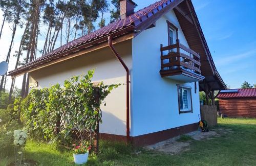 gmina Mieleszyn Villa | Dom nad jeziorem - Brzozowa Chatka