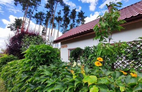 gmina Mieleszyn Villa | Dom nad jeziorem - Brzozowa Chatka