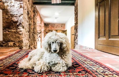 Srebrna Gora Bed & Breakfast | Dom pod Twierdzą Srebrna Góra