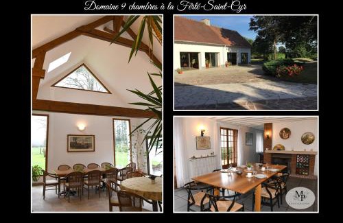La Ferte-Saint-Cyr Apartment | Domaine 9 chambres à la Ferté saint Cyr