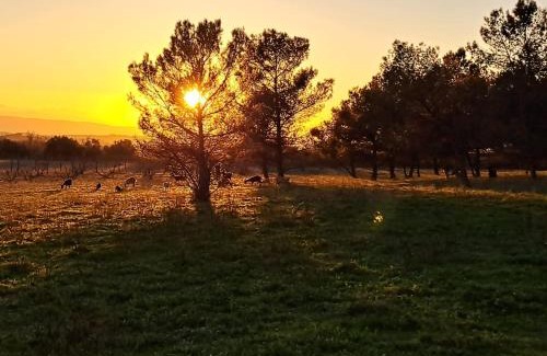 Conques-sur-Orbiel Bed & Breakfast | Domaine de la Matte
