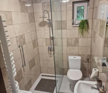 gmina odygowice House | Domek w Sadzie
