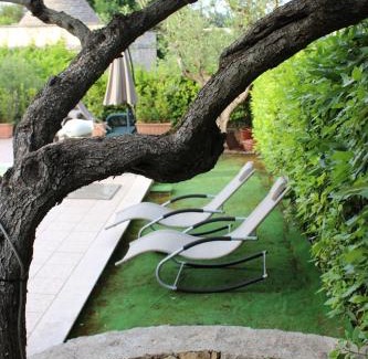 Selva di Fasano Bed & Breakfast | Domus Relax