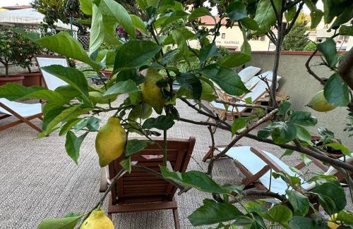 Follonica Bed & Breakfast | Domus Socolatae Cocoa Journey Tuscan Lifestyle B&B