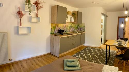 Passau Apartment | Donaustern