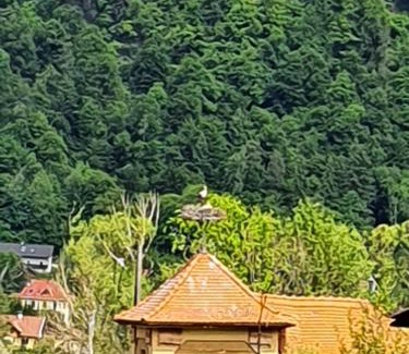 Altossiach House | Doppel-Zimmer am Ossiacher See