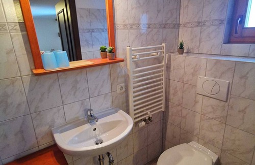 Gohrisch Apartment | Doppelzimmer mit Terrasse - Pension Bauernhaus Vetter