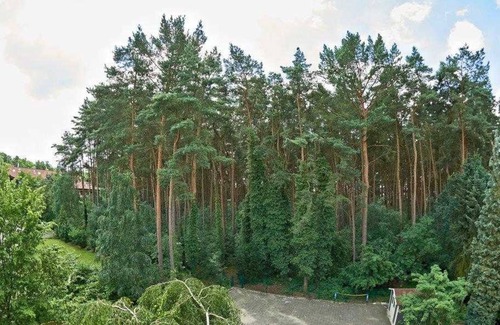 Bad Bevensen Cottage | Double room - Pension Elfi