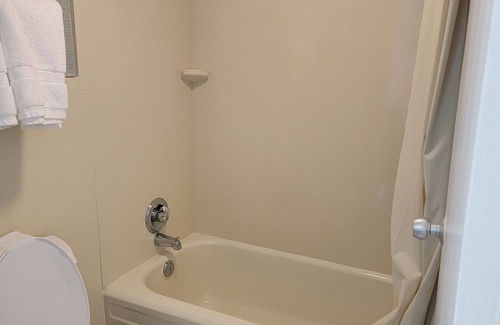 Asheville Hotel | Downtown Inn #2- King room