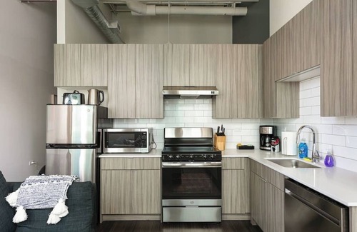 South Loop Condo | Downtown Park #11 - Mich Ave PH | gym+rooftop
