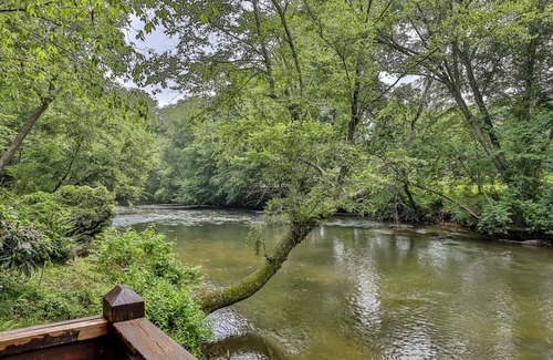 Ellijay Cabin | Dragonfly on the Cartecay River 2BR 2 BA Cabin