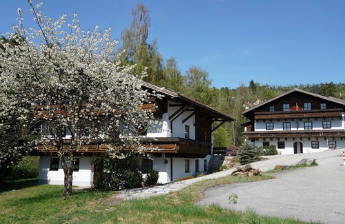 Hauzenberg Apartment | Dream apartment "Dreisessel" with Sauna and swimming pool near Passau