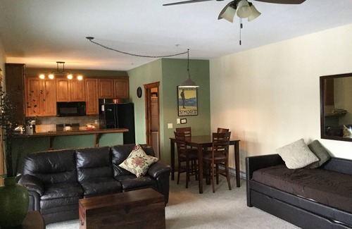 Four O'Clock House | DREAM SPOT "TRUE SKI IN/OUT" NEW BEDS- 1 Bedroom/2 Full Bath "PRIVATE" Hot Tub