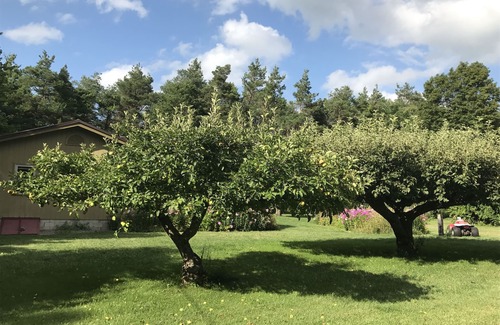 Naples House | Dreamy ranch on 4 private acres of bliss in Naples NY! Close 2 town & waterfalls