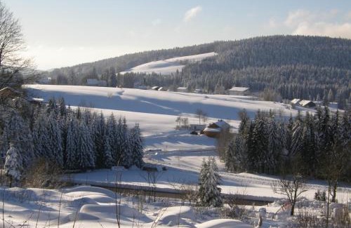Haidmuhle Ski Chalet | Dreisessel-Chalets im bayerischen Wald - Chalet Plöckenstein - mit Whirlpool-Sauna-Kamin