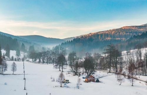Stronie Slaskie Apartment | Drewniany domek pod masywem Śnieżnika dojazd otwarty