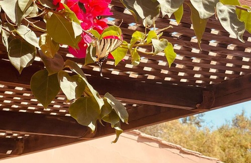 Platanias Town Villa | Du Sud Star Villa - 40meters to beach. Sleeps 8.