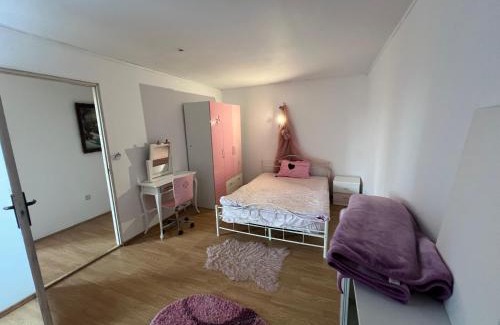 Alba Iulia House | Duplex 3 dormitoare zona cetate