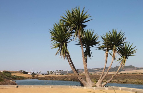 Conil de la Frontera City Center Apartment | Duplex Apartment for 6 in Conil centre