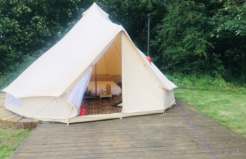 Guisborough RV Rental | Eartha, a furnished bell tent in field and woodland surroundings