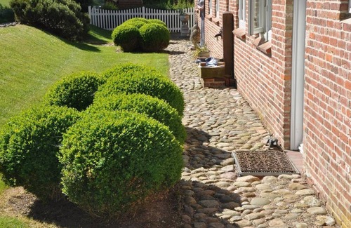 Poppenbull House | Easter dike Molehill - Thatched semi-detached house Molehill