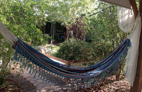 The Garden District House | Eco-Friendly Desert Oasis