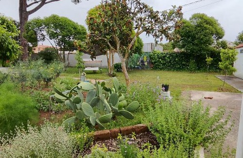 Anzio Apartment | ECO green mini house